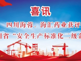 海蓉、海匯藥業(yè)獲評“安全生產(chǎn)標準化二級企業(yè)”